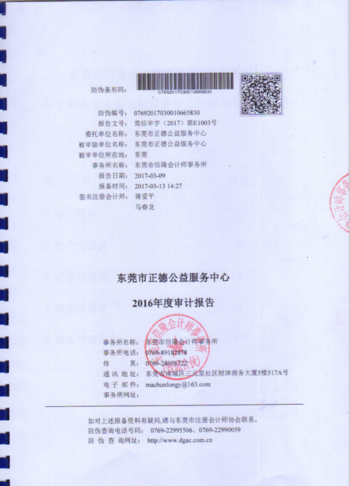 正德公益2016年度审计报告