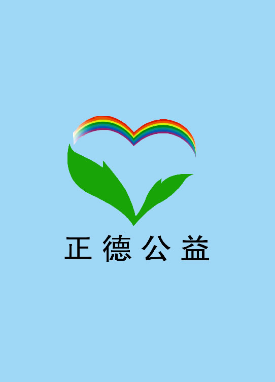 正德公益2018年度审计报告